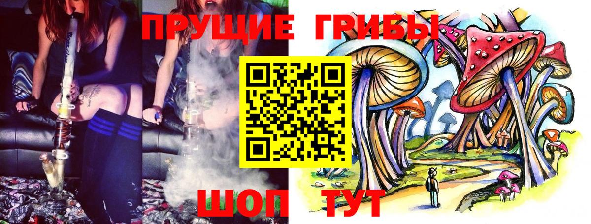 Галлюциногенные грибы Cubensis Саяногорск