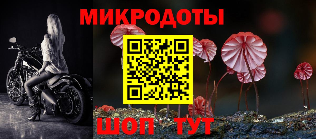 Галлюциногенные грибы GOLDEN TEACHER  Вход с VPN  Саяногорск 